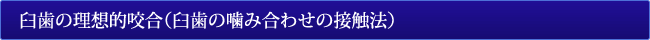 臼歯の理想的咬合（臼歯の噛み合わせの接触法）