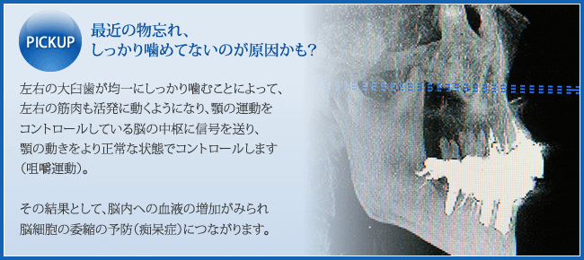 最近の物忘れ、しっかり噛めてないのが原因かも？